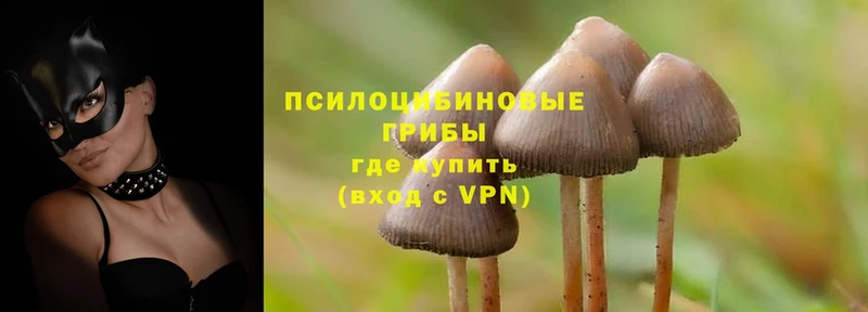 Галлюциногенные грибы MAGIC MUSHROOMS  где найти наркотики  это официальный сайт  Бикин 